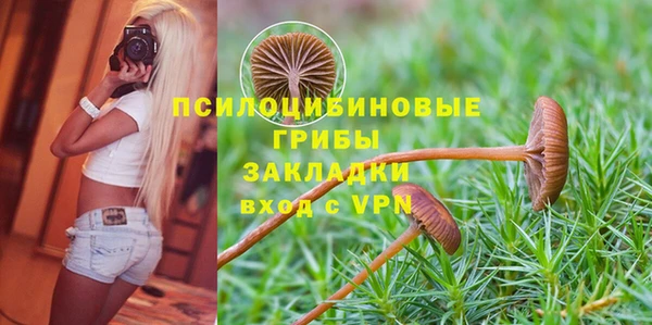 герыч Алексин
