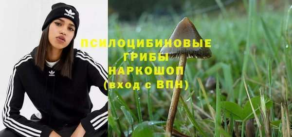 хмурый Алексеевка