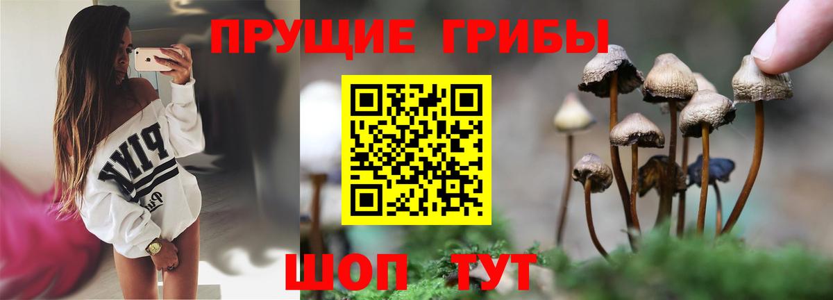 Галлюциногенные грибы Psilocybine cubensis  Вход с VPN  купить наркотики сайты  Лиски 